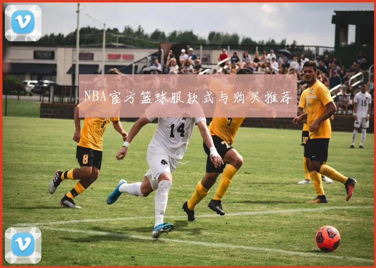NBA官方篮球服款式与购买推荐