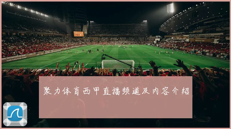 聚力体育西甲直播频道及内容介绍